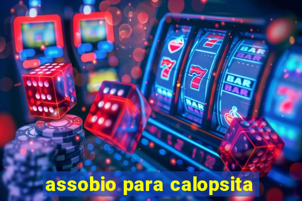 assobio para calopsita